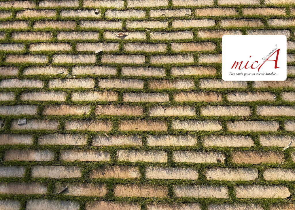 Un projet urbain avec une identité authentique et éco-responsable