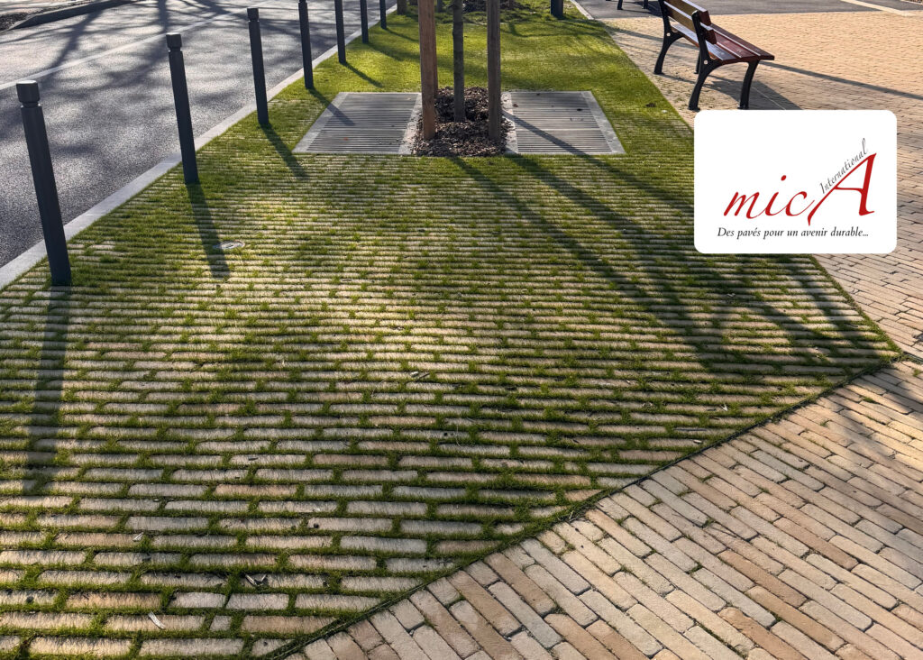 Brique en terre cuite Septima - Mica International