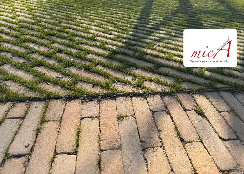 Brique en terre cuite Septima - Mica International